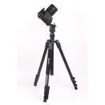 Jmary KT325 Tripod with the NB30 Head - Image 22