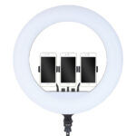 RL-21 LED Ring Light, 21 Inch Soft Ring Light for Smartphones, Camera, YouTube TikTok Videos with Tripod & 3 phone Holders - Image 2
